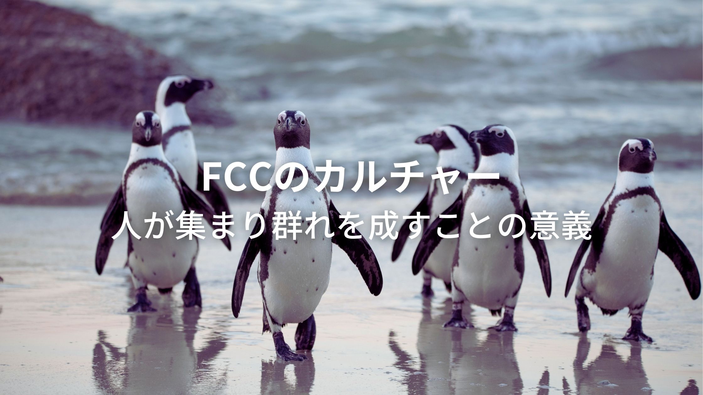 【FCCのカルチャー】人が集まり群れを成すことの意義