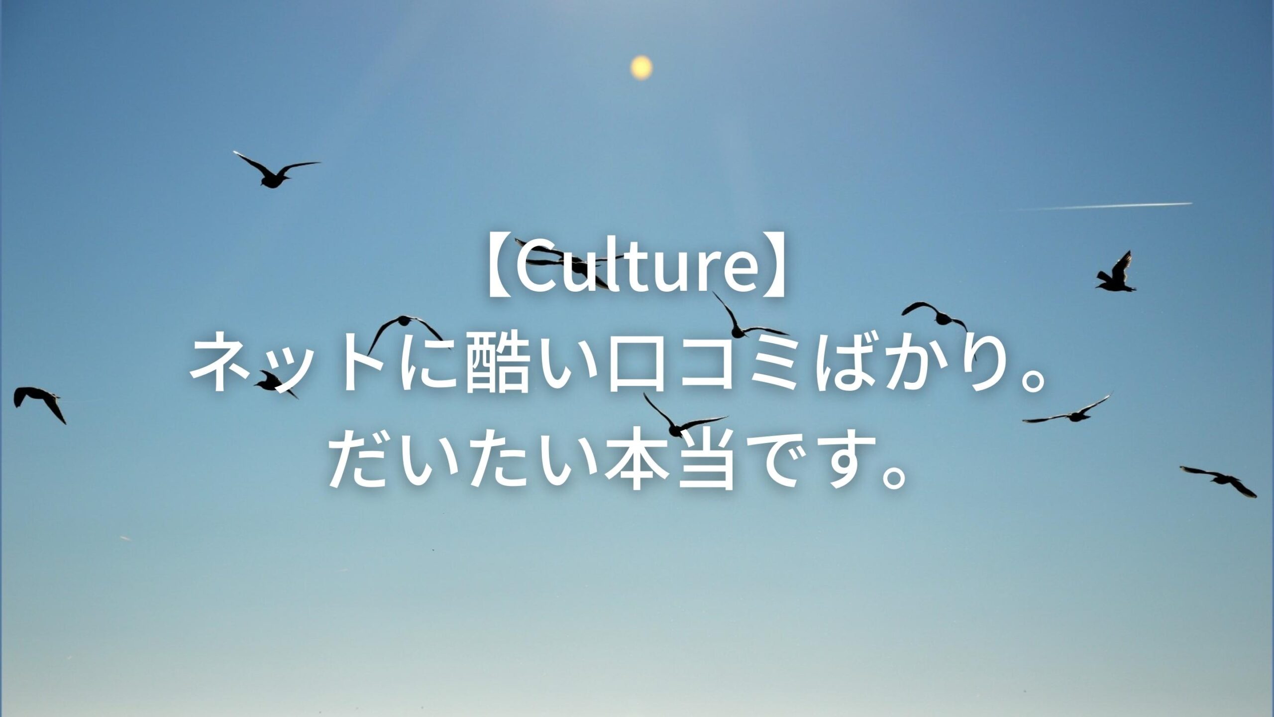 【Culture】ネットには酷い口コミばかり。だいたい本当です。